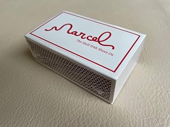 Amazon.co.jp: マルセル A24公式フィギュア「マルセル 靴をはいた